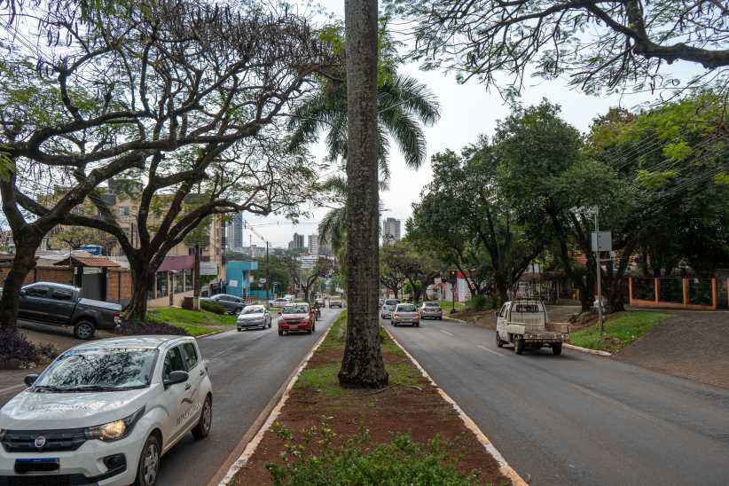 Como Regularizar o IPVA Atrasado em São Paulo Guia da Secretaria da Fazenda