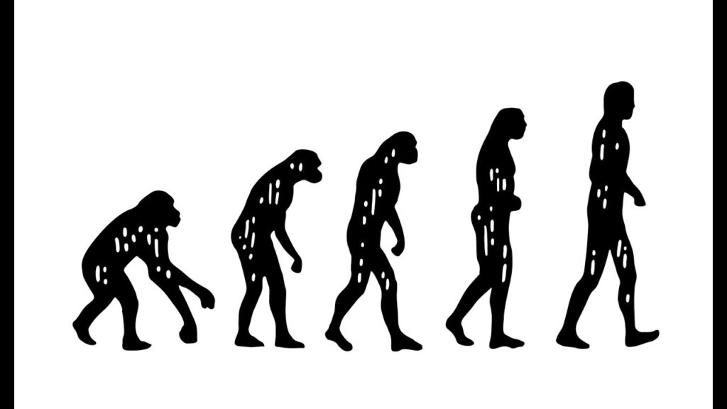 O que é a teoria da evolução das espécies e como ela funciona